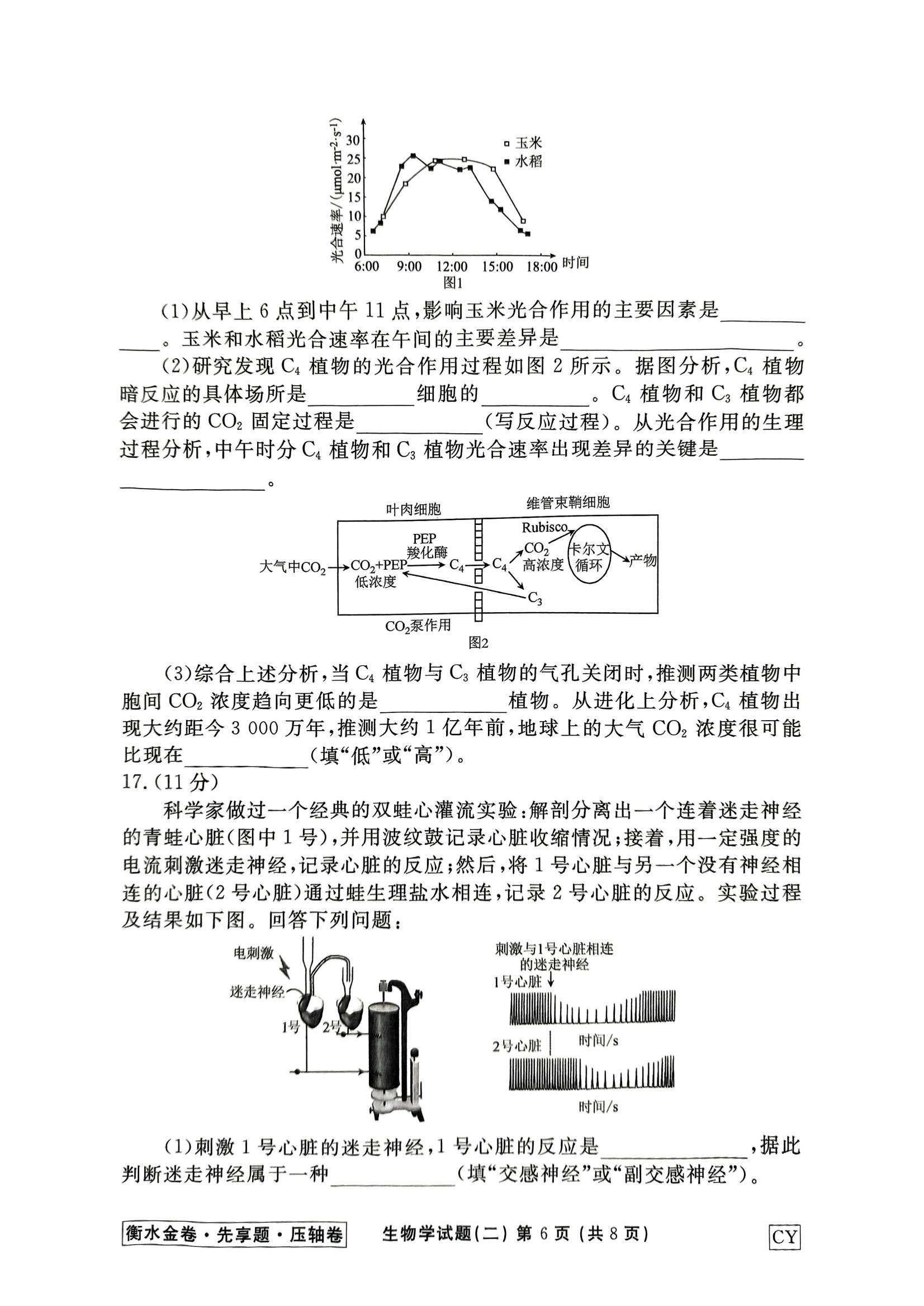 生物CY1 2_13.jpg