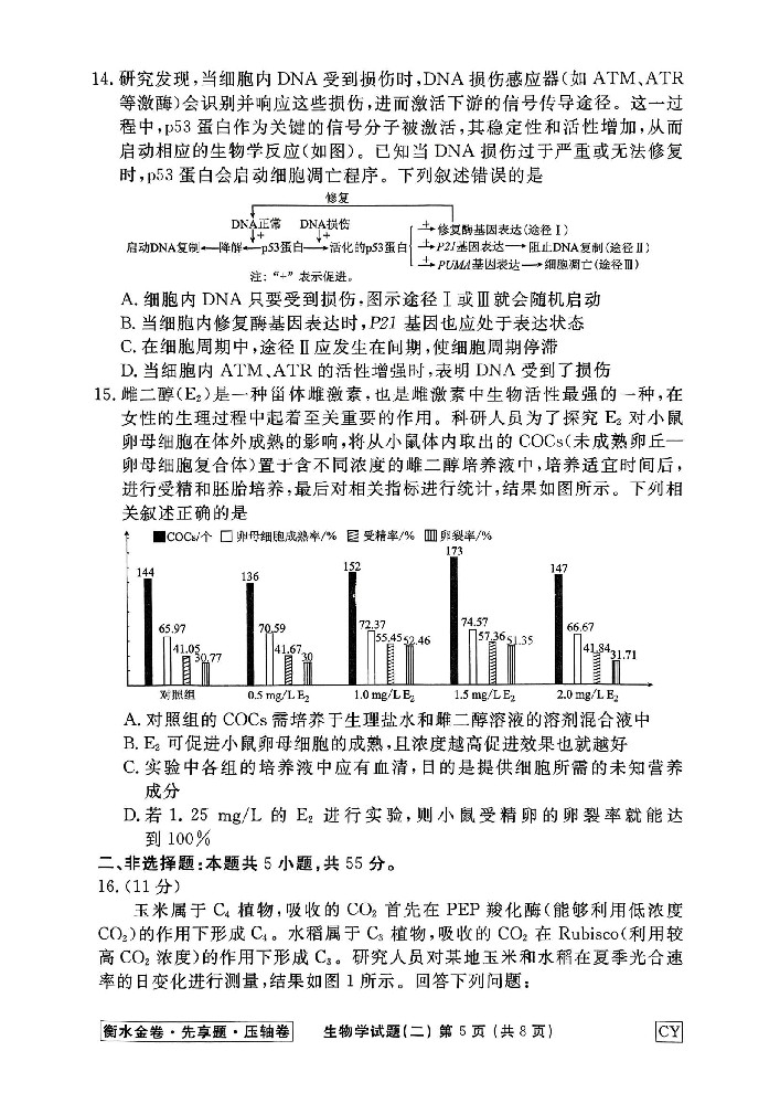 生物CY1 2_12.jpg